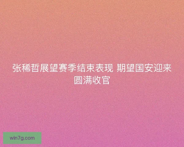 张稀哲展望赛季结束表现 期望国安迎来圆满收官